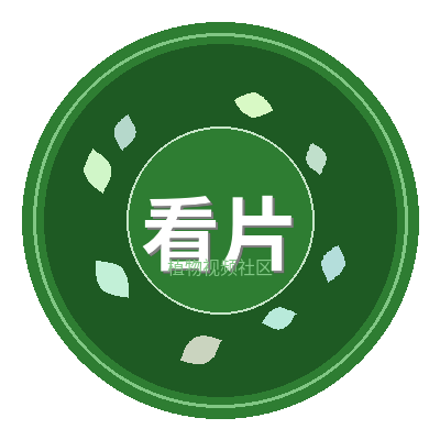 看片